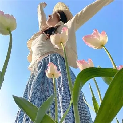 【爆款纯爱】《浪漫速成班》全集高清：数学名师爱上小菜馆老板娘，中年人的爆笑爱情